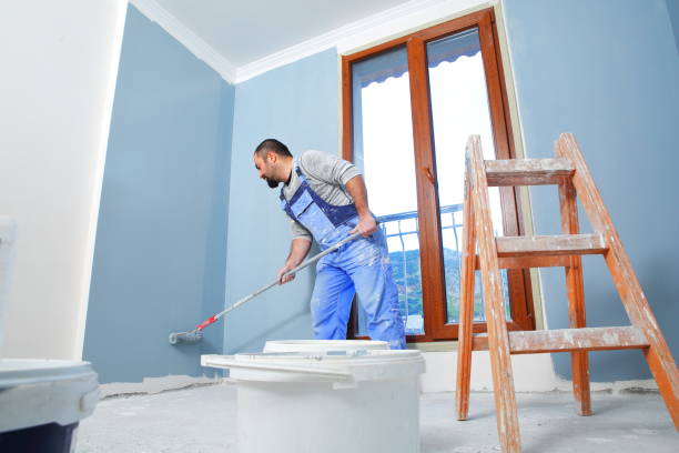 Best Industrial Mold Remediation  in Somerton, AZ