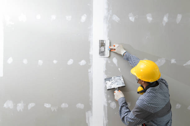 Best Dehumidification Services  in Somerton, AZ