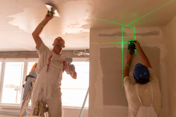 Best Mold Documentation for Insurance Claims  in Somerton, AZ