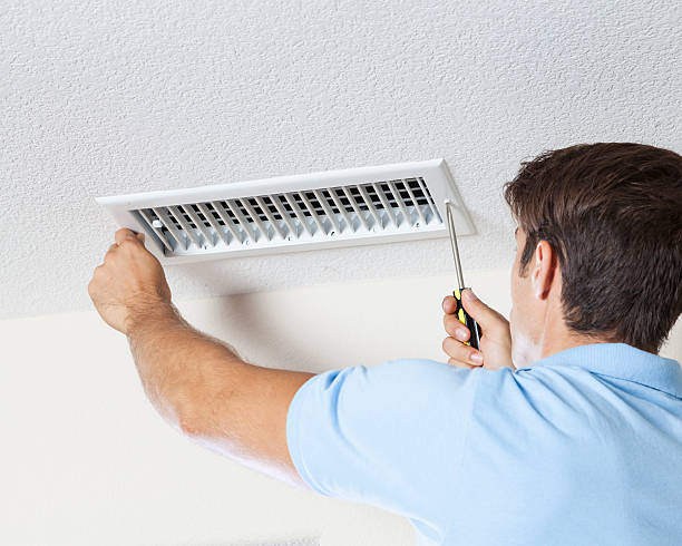 Best Commercial Mold Inspection  in Somerton, AZ