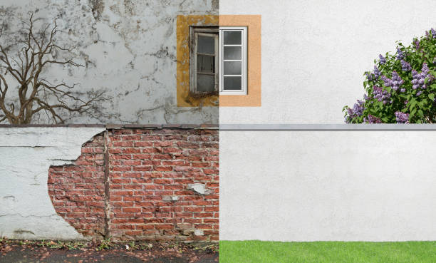 Professional Mold Removal in Somerton, AZ