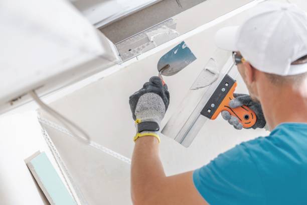 Best Mold Damage Restoration  in Somerton, AZ